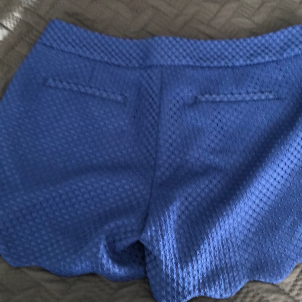 Shorts - Picture 4 of 4
